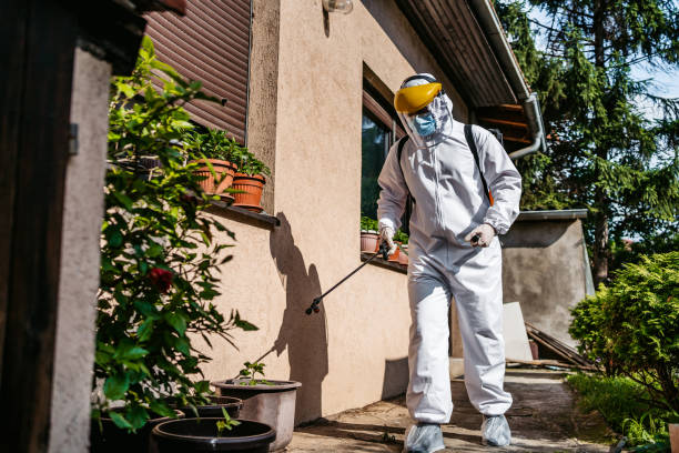 Best Local Pest Control Services  in Princeton, MN