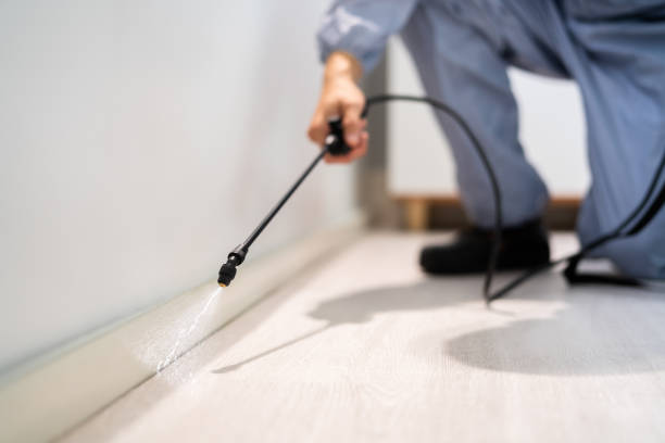 Professional Pest Control in Princeton, MN