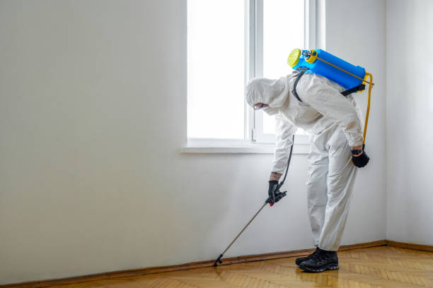 Best Pest Removal Services  in Princeton, MN