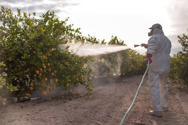 Best Pest Prevention Services  in Princeton, MN