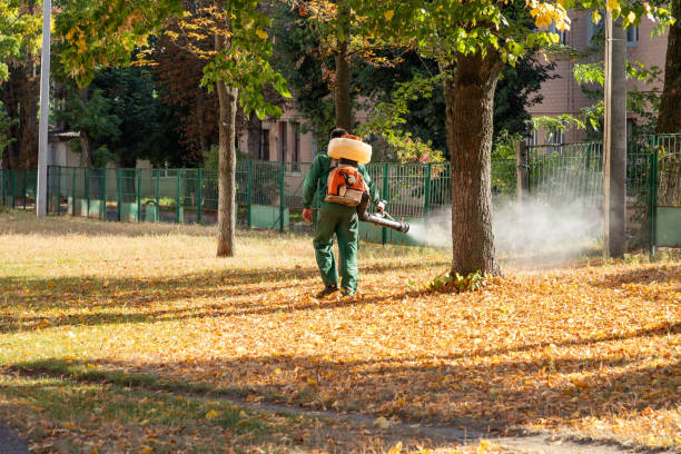 Best Emergency Pest Control  in Princeton, MN