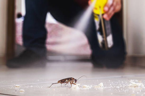 Best Cockroach Control Services  in Princeton, MN