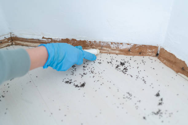 Best Affordable Pest Control Services  in Princeton, MN