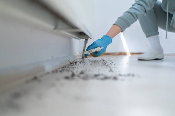 Best Best Pest Control Companies  in Princeton, MN